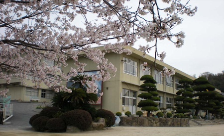 桜咲く校舎の玄関