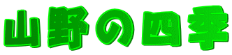 �R��̎l�G