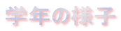 wN̗lq