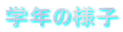 wN̗lq