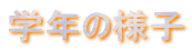 wN̗lq