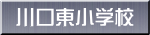 wZ