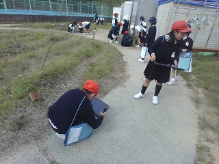  class=alignright frame